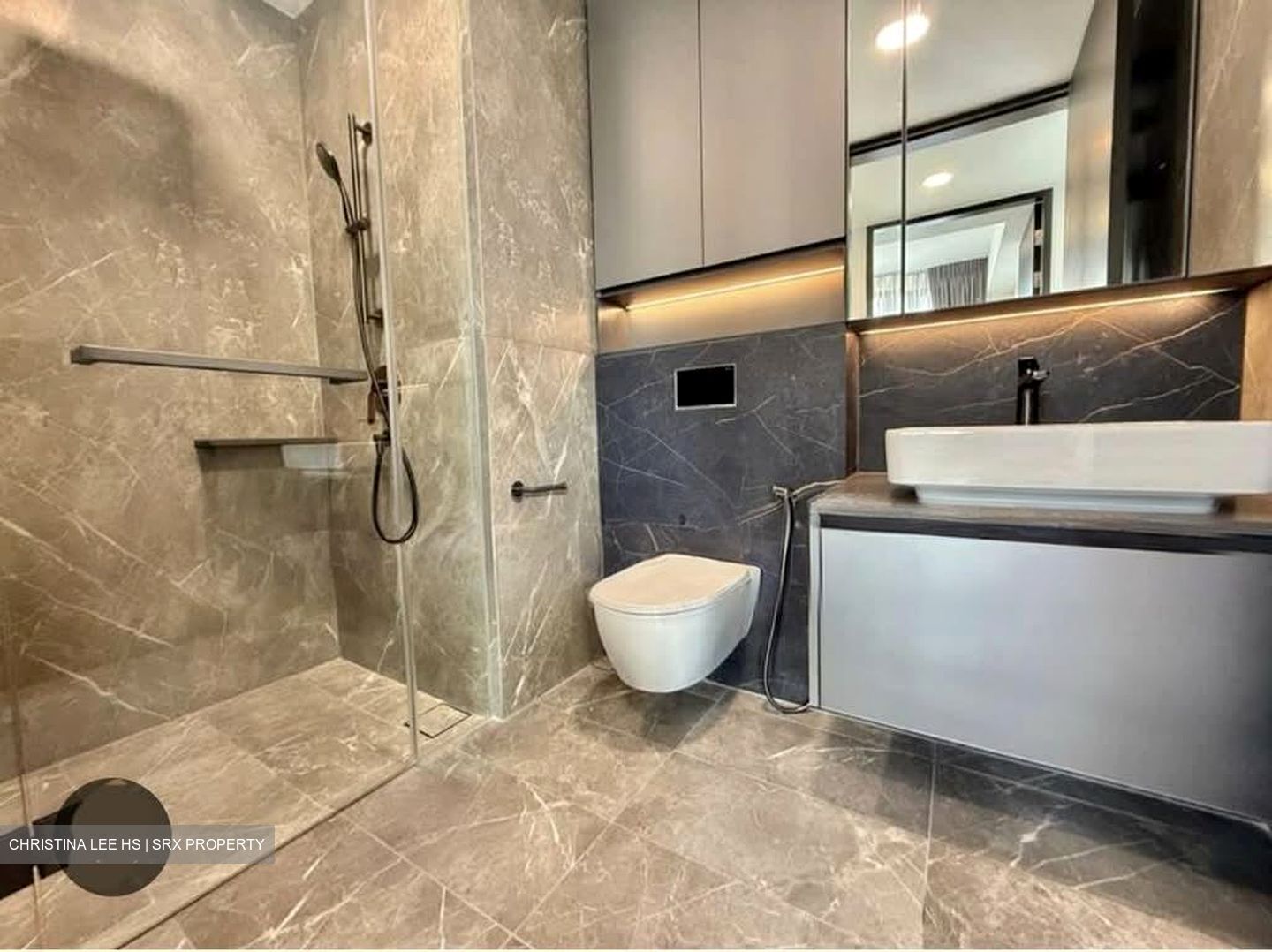 Irwell Hill Residences (D9), Apartment #554395091